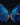 Exklusive Crystal Creations von Michele Astolfi