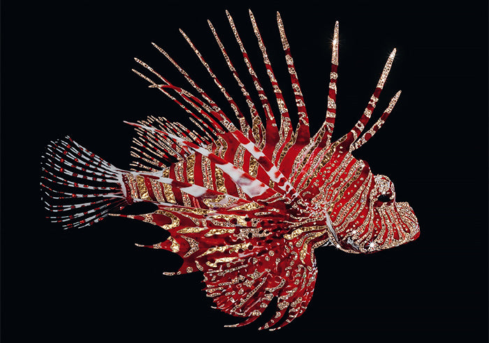 PESCE SCORPIONE