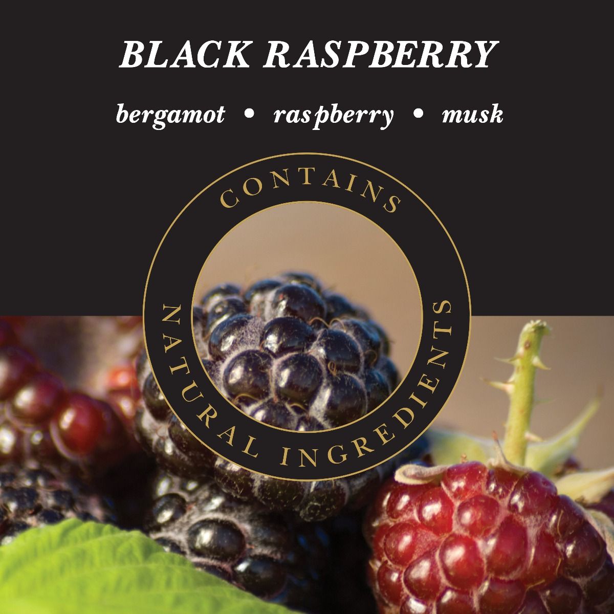 Duft Black Raspberry