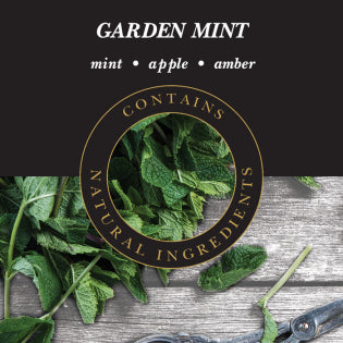 Duft Garden Mint