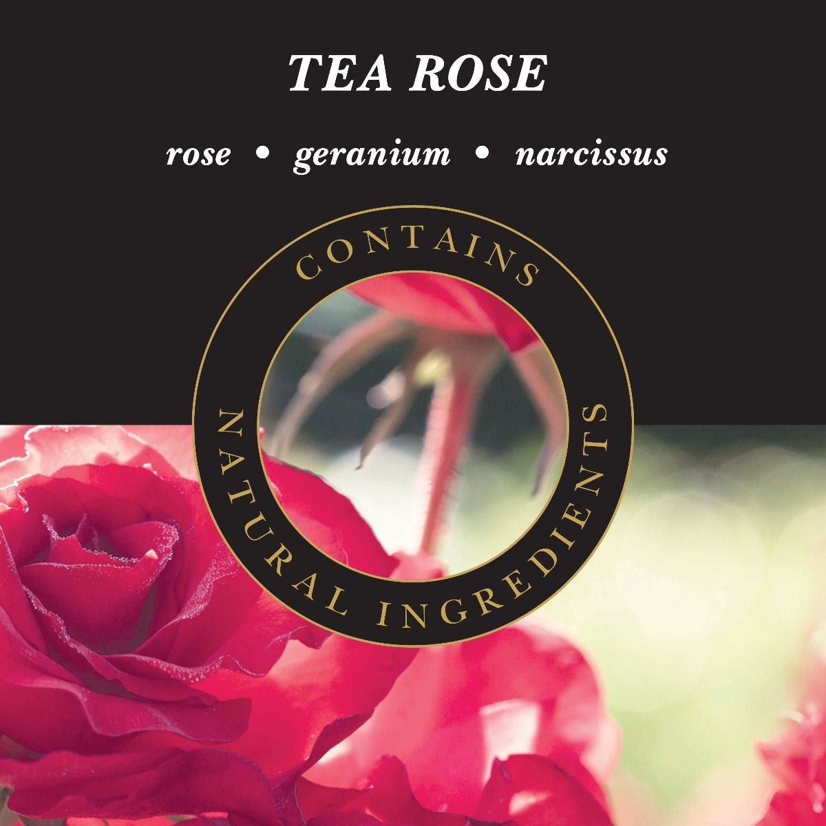 Duft Tea Rose