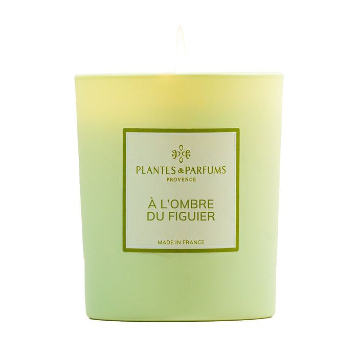 Feigenbaum Duftkerze 180g - Plantes & Parfums