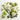 White Freesia & Pear 150 ml Diffuser