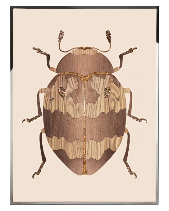 BEETLE D