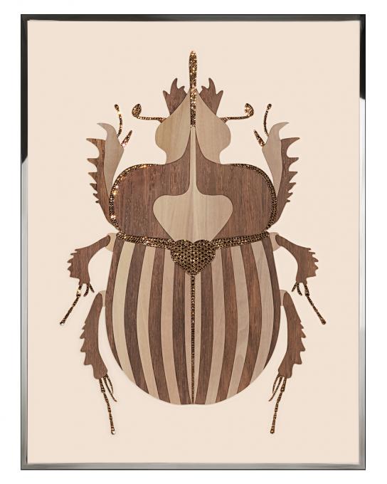 BEETLE B