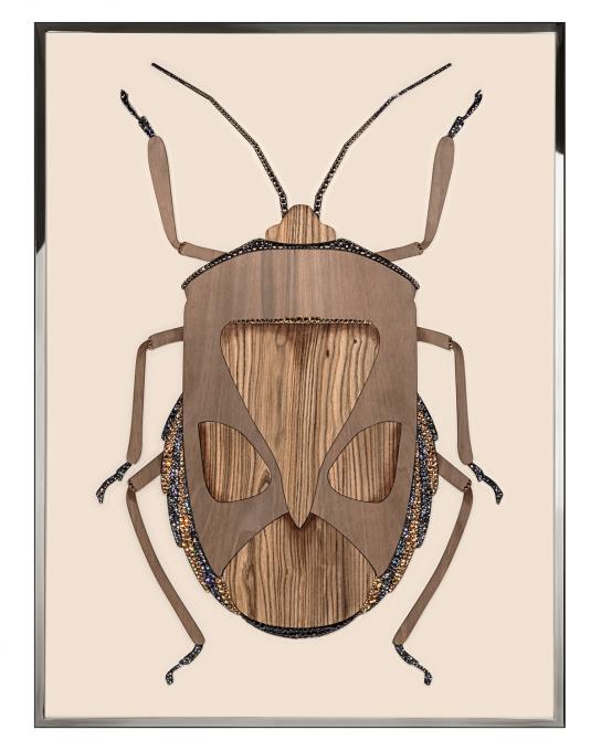 BEETLE C