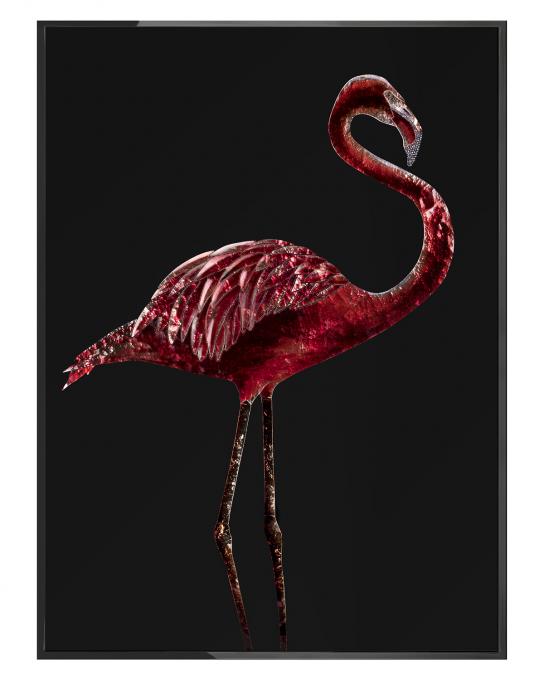 FLAMINGO DARK