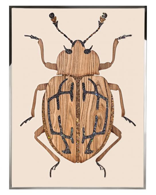 BEETLE E