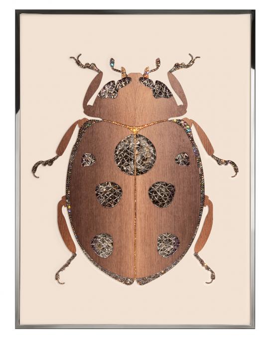 BEETLE F