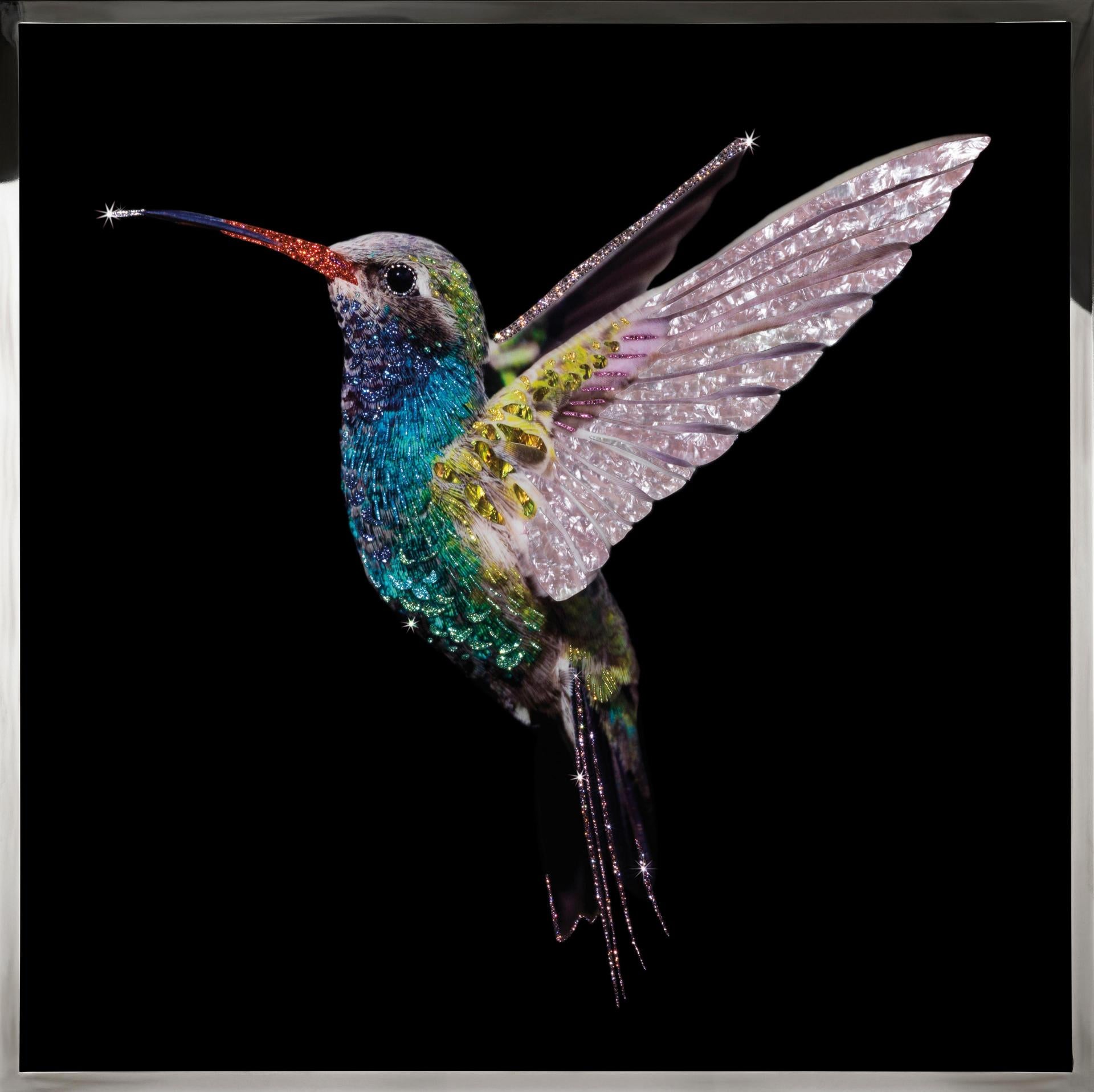 COLIBRI