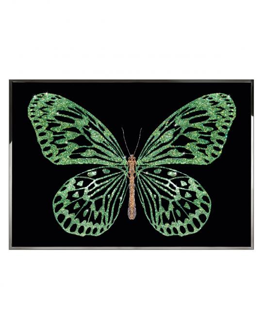 GREEN BUTTERFLY