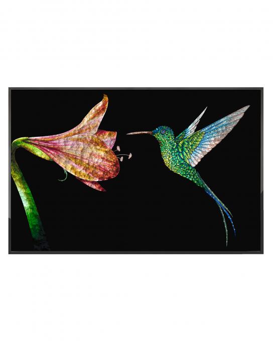 COLIBRI IN FIORE