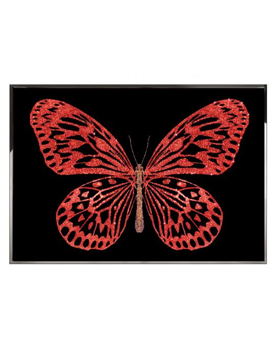 RED BUTTERFLY