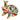 Toms Drag Frosch L Andrew
