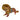 Toms Drag Katze Matilda M