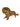Toms Drag Katze Matilda M
