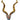Toms Drag Geweih Drag Horns
