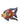 Toms Drag Fisch Oscar M bunt