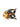 Toms Drag Fisch Oscar S schwarz