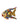 Toms Drag Fisch Oscar S gold