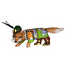Toms Drag Fuchs Robin M